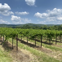 Augusta MO - Mt. Pleasant Estates Vineyards